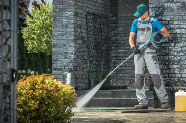 Animal Enclosure Cleaning in North Browning, MT